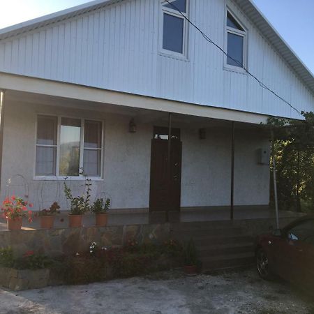 Guesthouse Milena Leselidze Exterior foto
