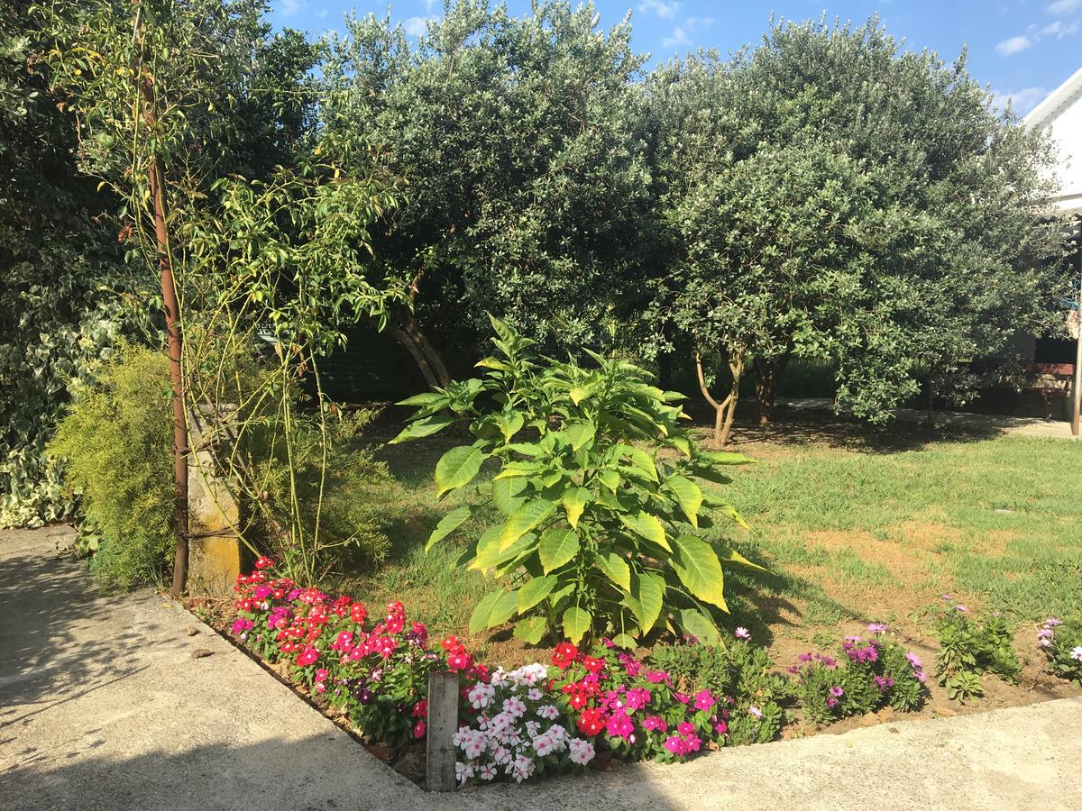 Guesthouse Milena Leselidze Exterior foto
