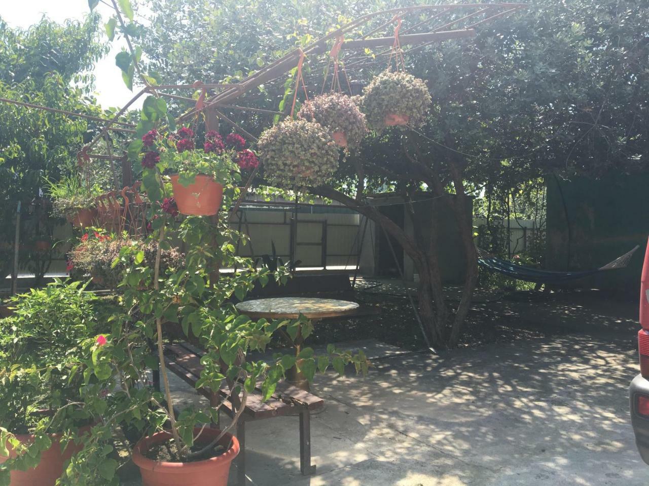 Guesthouse Milena Leselidze Exterior foto